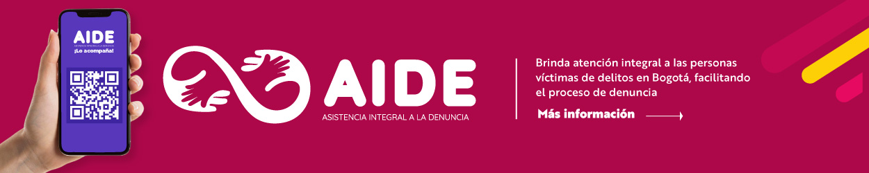 Asistencia Integral a la Denuncia - AIDE