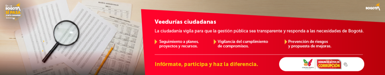 Veedurias ciudadanas