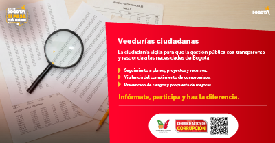 Veedurias ciudadanas