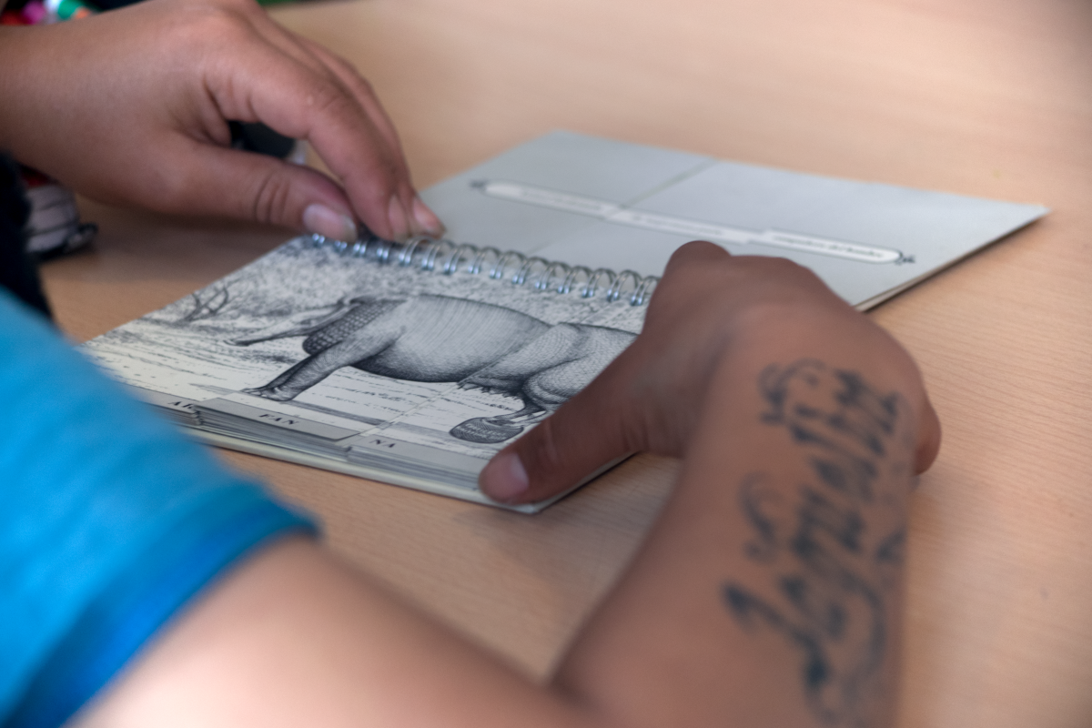 Programa Distrital de Justicia Juvenil Restaurativa