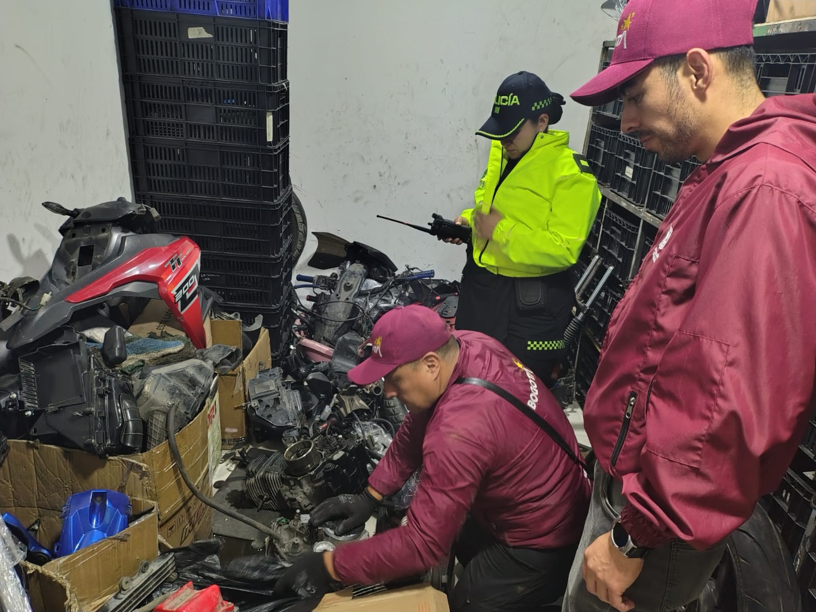 Recuperadas más de una docena de vehículos y centenares de autopartes robadas en operativo simultáneo en La Favorita y el 7 de Agosto Recuperadas más de una docena de vehículos y centenares de autopartes robadas en operativo simultáneo en La Favorita y el 7 de Agosto