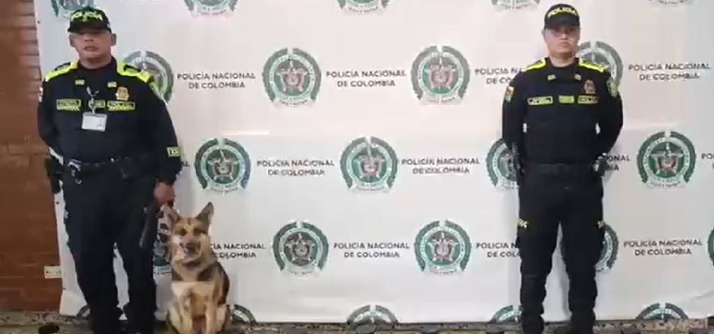 Incautados 35 kgs de marihuana en el aeropuerto El Dorado. Incautados 35 kgs de marihuana en el aeropuerto El Dorado.