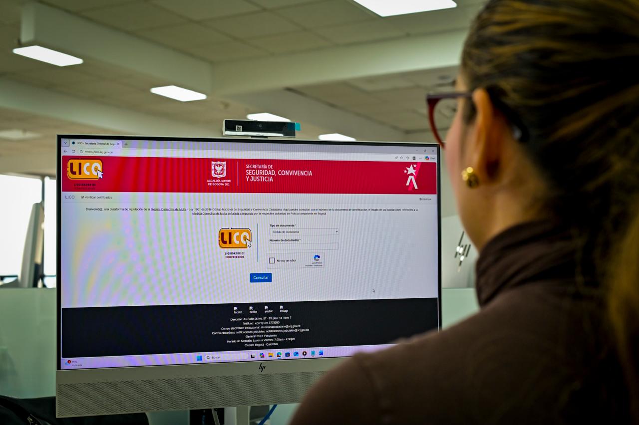 Mujer mirando la pantalla de un computador