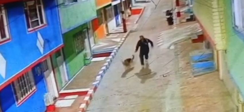 Capturado en Ciudad Bolívar hombre que robaba y maltrataba mascotas Capturado en Ciudad Bolívar hombre que robaba y maltrataba mascotas