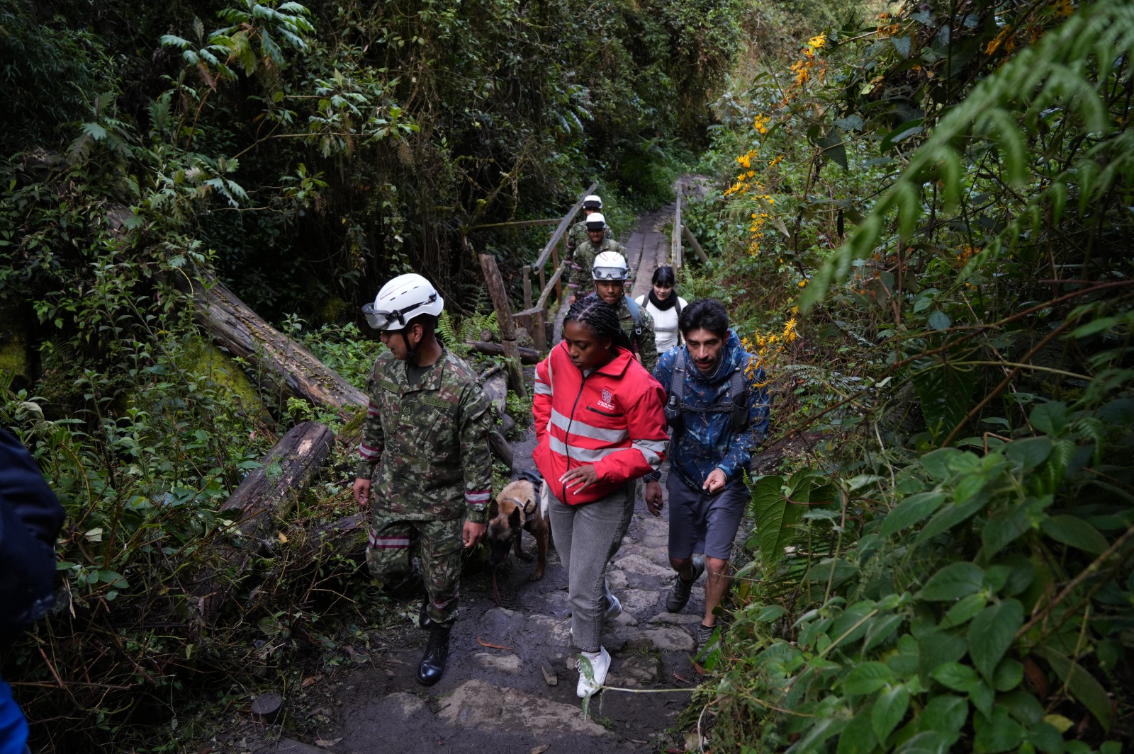 Bogotá refuerza la seguridad en la Quebrada La Vieja con el apoyo de Gestores de Convivencia y brigadistas del Ejército Bogotá refuerza la seguridad en la Quebrada La Vieja con el apoyo de Gestores de Convivencia y brigadistas del Ejército