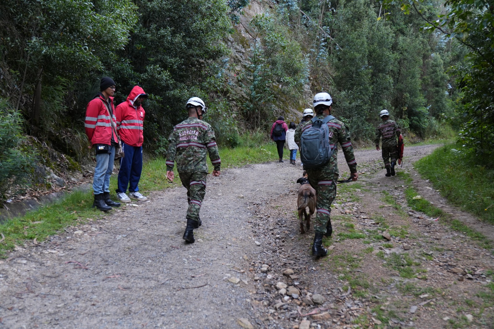 Bogotá refuerza la seguridad en la Quebrada La Vieja con el apoyo de Gestores de Convivencia y brigadistas del Ejército Bogotá refuerza la seguridad en la Quebrada La Vieja con el apoyo de Gestores de Convivencia y brigadistas del Ejército