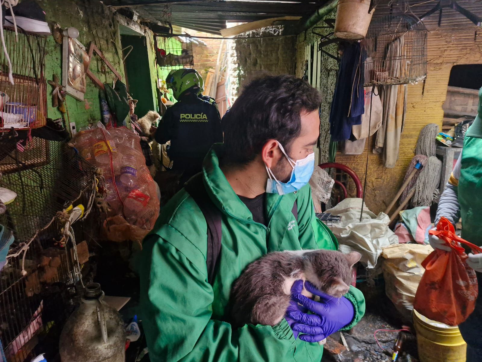 Rescatan a 30 animales en estado de abandono en una casa en la localidad de Santa Fe Rescatan a 30 animales en estado de abandono en una casa en la localidad de Santa Fe