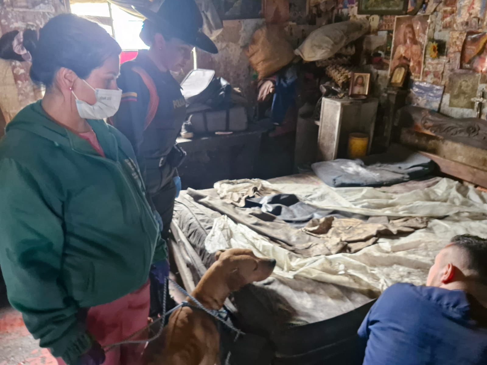 Rescatan a 30 animales en estado de abandono en una casa en la localidad de Santa Fe Rescatan a 30 animales en estado de abandono en una casa en la localidad de Santa Fe