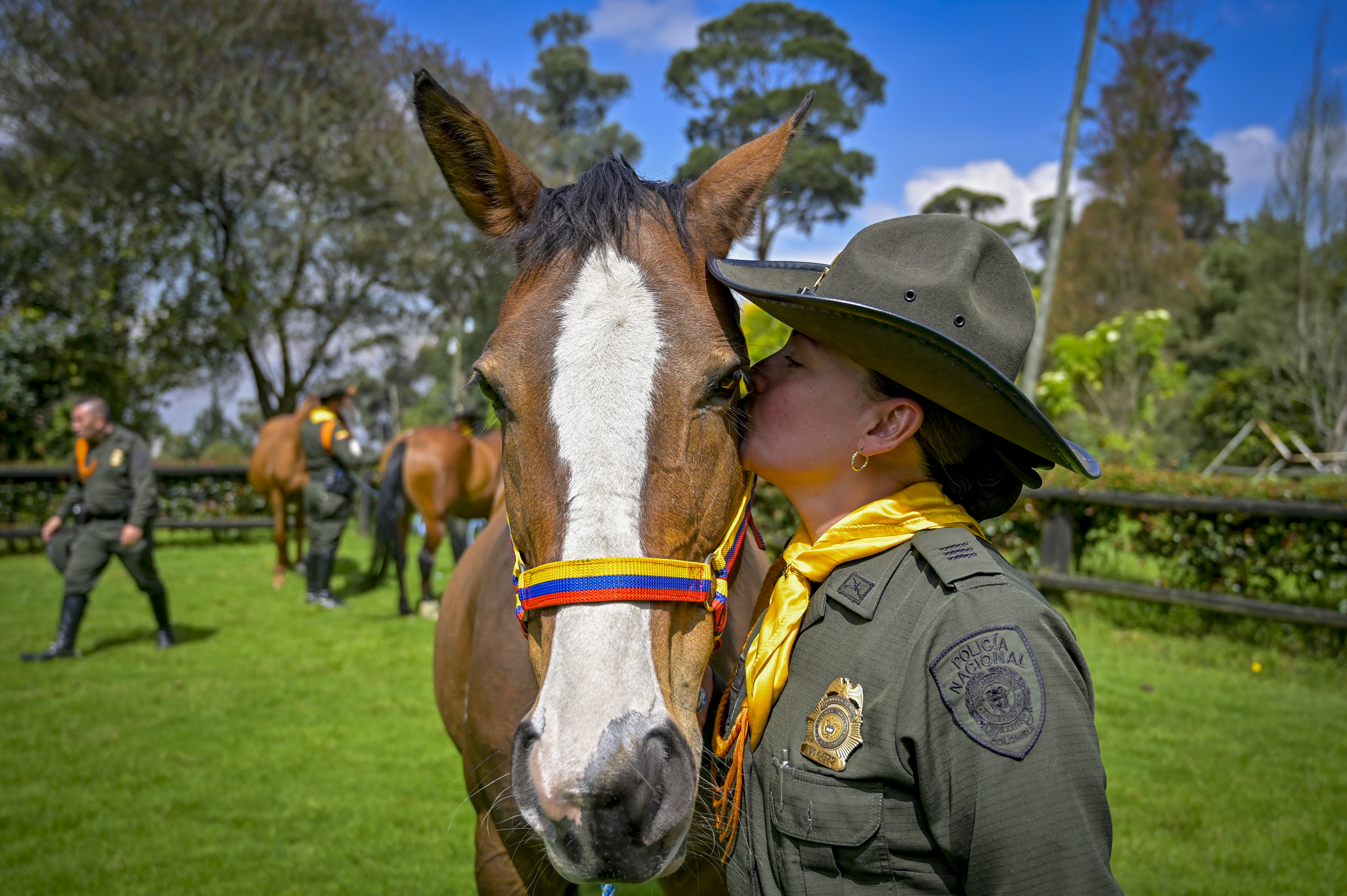 Caballos se pensionaron 