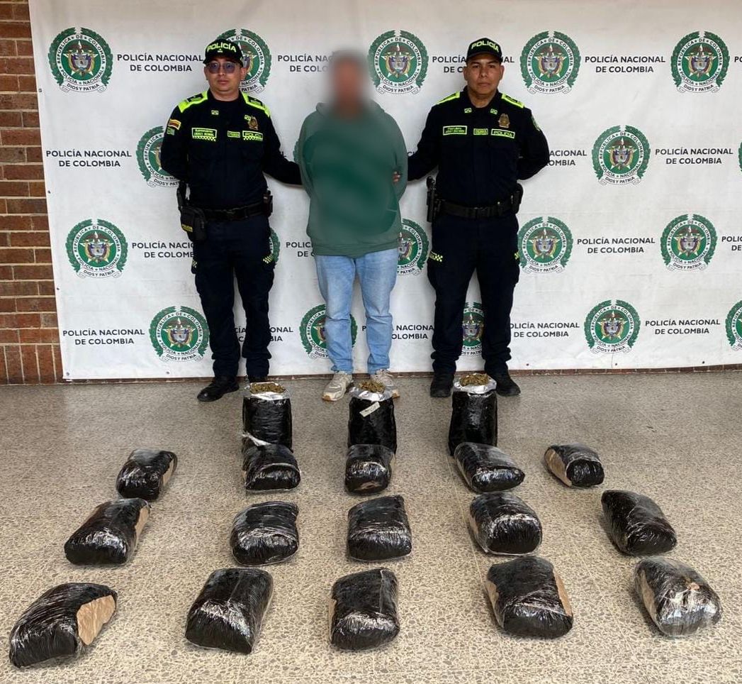 Al descubierto cámara de cultivo hidropónico de marihuana en una vivienda de San Cristóbal: una persona fue capturada Al descubierto cámara de cultivo hidropónico de marihuana en una vivienda de San Cristóbal: una persona fue capturada