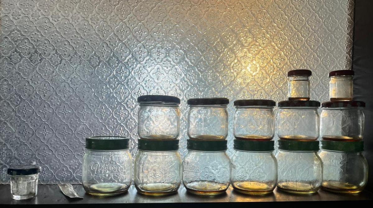 Al descubierto cámara de cultivo hidropónico de marihuana en una vivienda de San Cristóbal: una persona fue capturada Al descubierto cámara de cultivo hidropónico de marihuana en una vivienda de San Cristóbal: una persona fue capturada