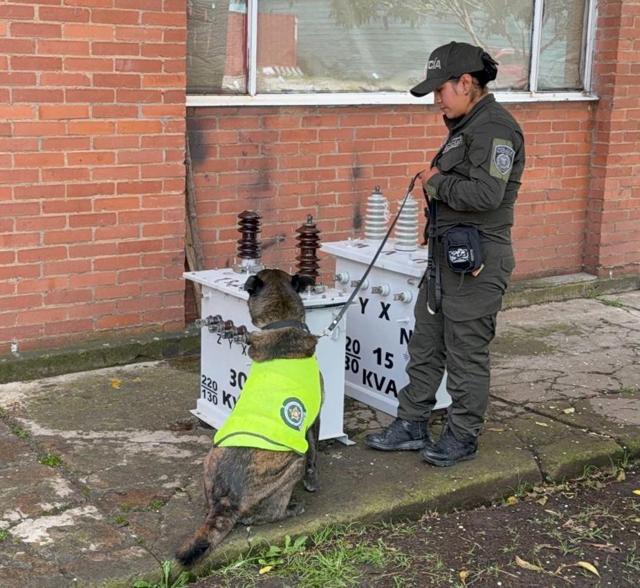 Más de 84 kilos de marihuana fueron incautados en el aeropuerto El Dorado: estaban ocultos en transformadores de energía Más de 84 kilos de marihuana fueron incautados en el aeropuerto El Dorado: estaban ocultos en transformadores de energía