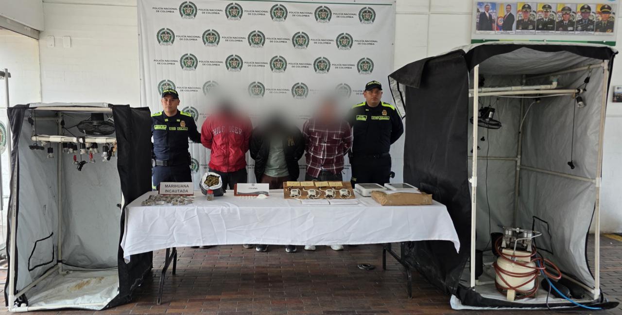 Al descubierto en una casa en Ciudad Bolívar, un cultivo hidropónico que producía hasta 50 kilos de marihuana mensuales Al descubierto en una casa en Ciudad Bolívar, un cultivo hidropónico que producía hasta 50 kilos de marihuana mensuales