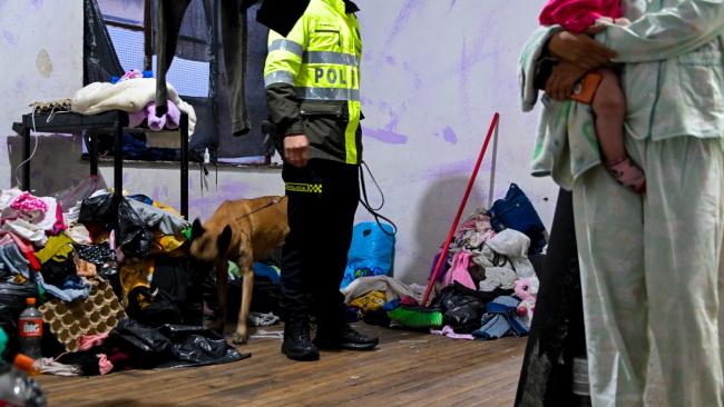 Capturados en Megatoma en Santa Fe